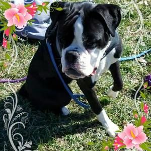 Meet your Posher, Meshell